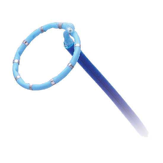 Eel Cath Circular Mapping Diagnostic Catheter for Pulmonary Vein