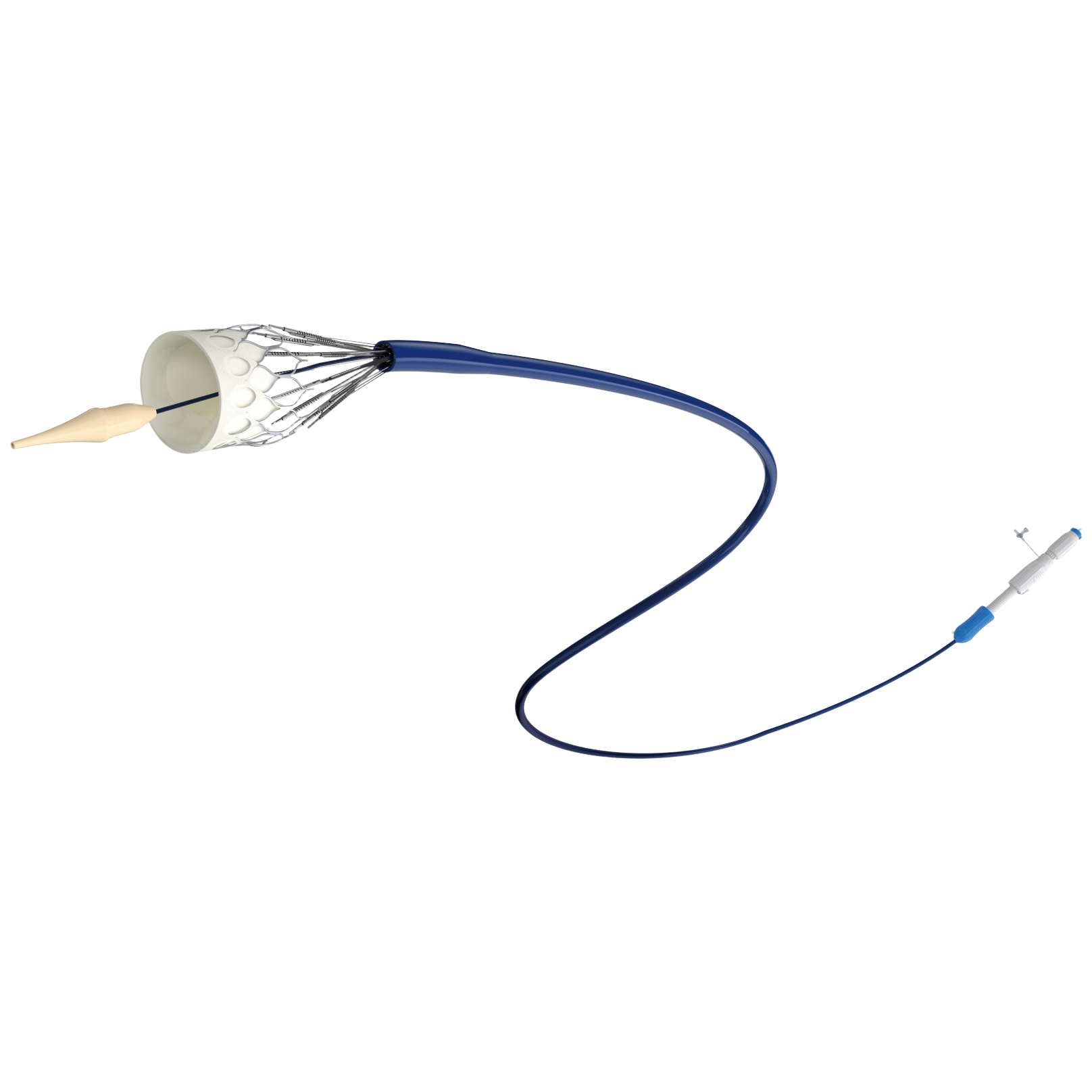 ScienCrown Transcatheter Aortic Valve Replacement System