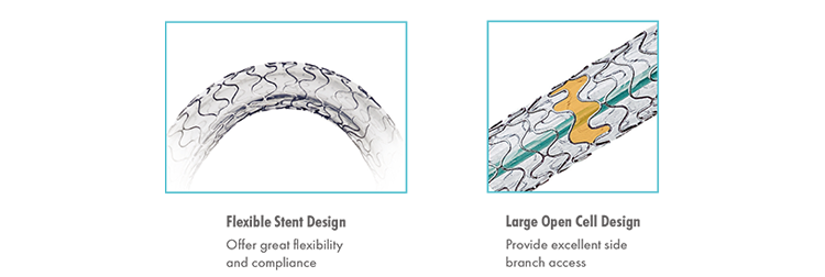 Stent Manufacturers