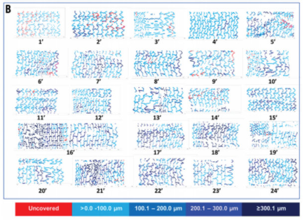 Coverage Status Of The Individual Stents/Patients At Two Time Points (Three And Six Months