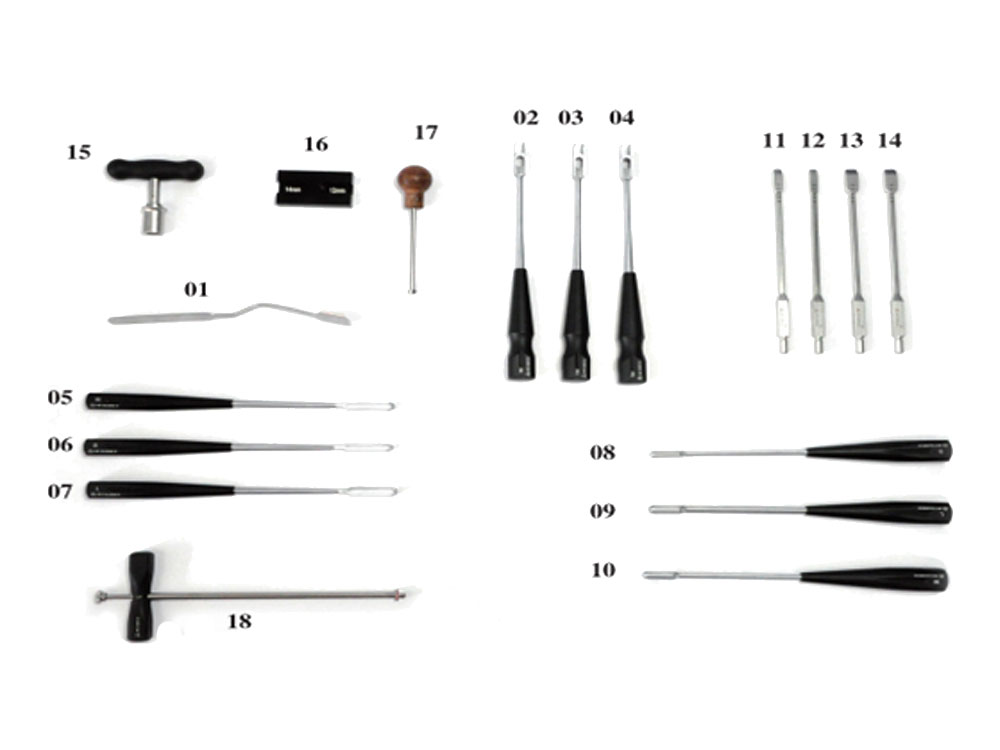 Instrument Set for Posterior Lumbar Fusion Cage