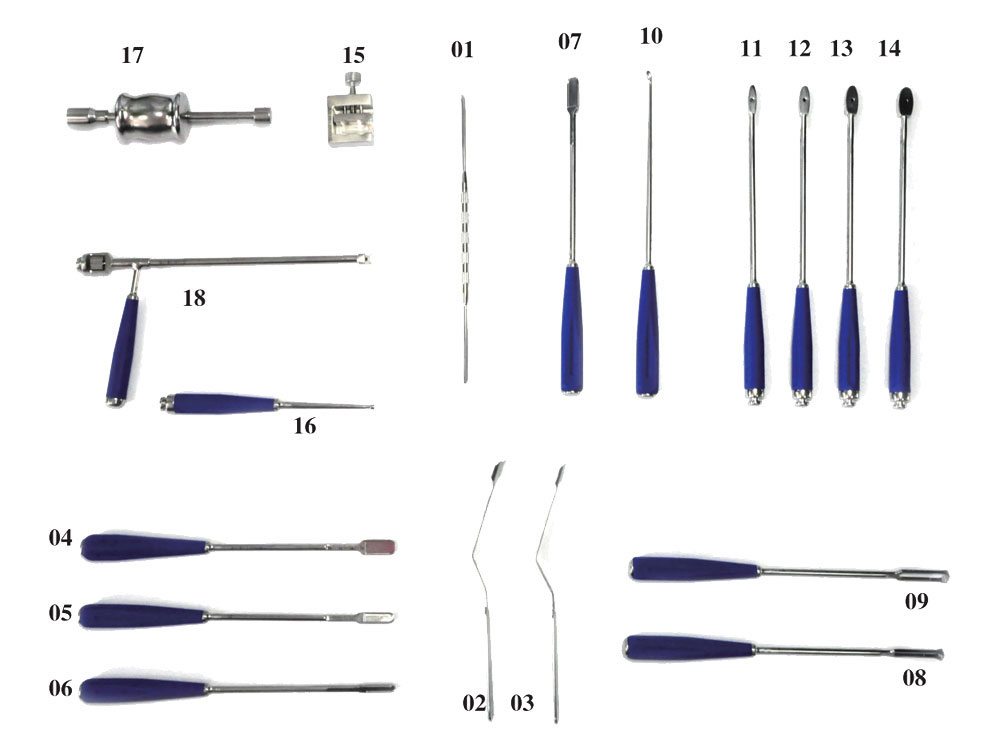 Thoracolumbar 케이지 (I) 를 위한 악기 세트