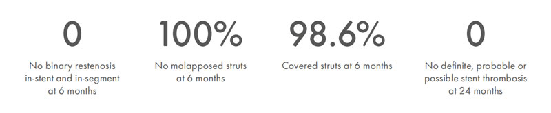 Polymer Free Drug Eluting Stents